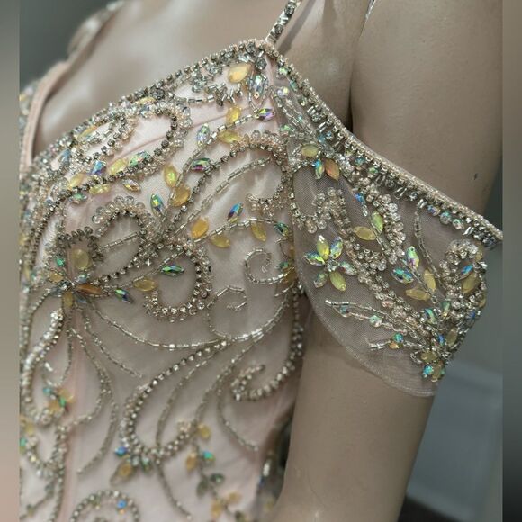 Gorgeous Blush Pink Princess Style Embellished Off-shoulder Tulle Ballgown - Picture 11 of 17